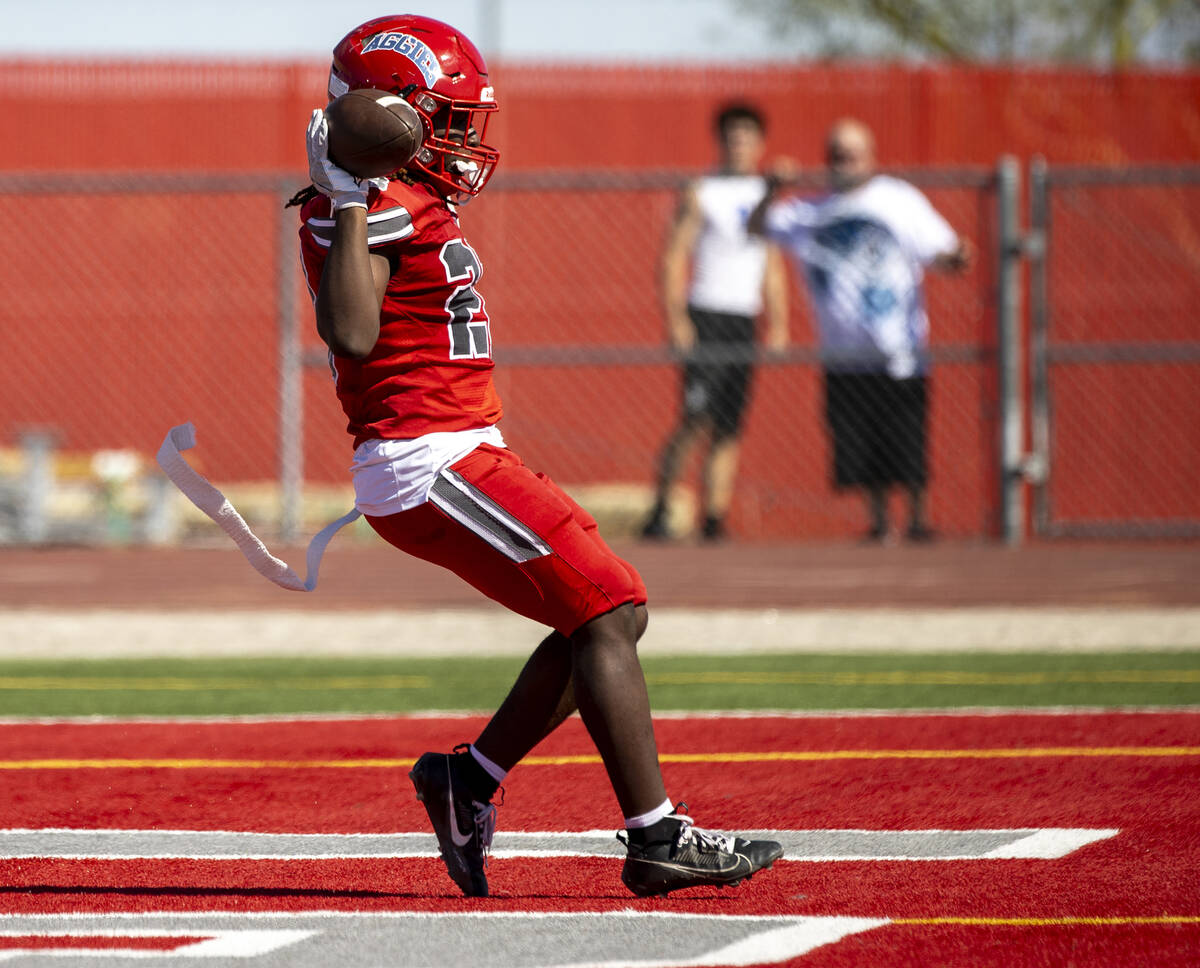 Arbor View running back Nylen Johnson (28) celebrates after scoring a touchdown during the high ...