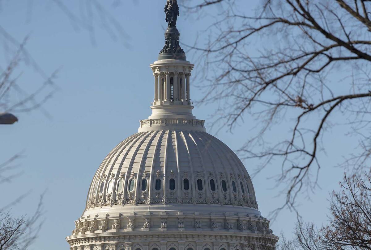 The Capitol is seen in Washington in 2018. (AP Photo/J. Scott Applewhite)