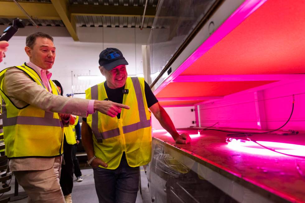 The Neon Museum CEO Aaron Berger, left, and Todd Fisher, get a look at a portion of the lit up ...