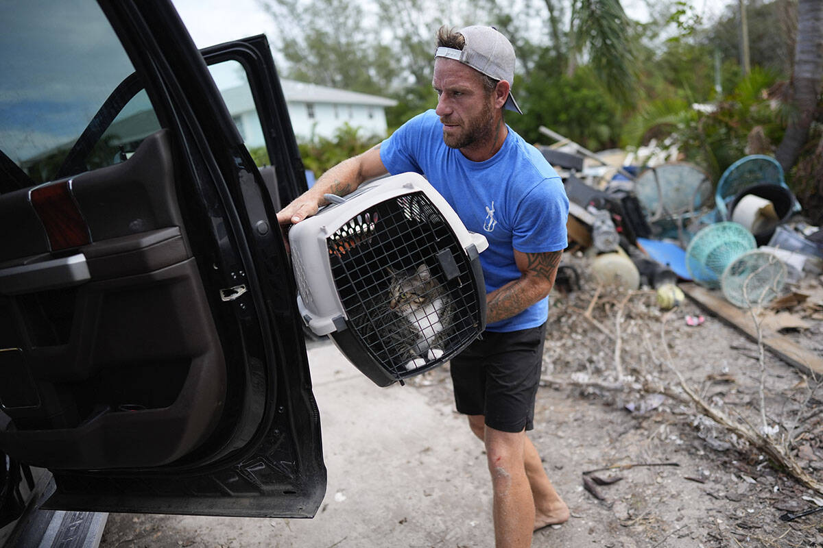 Ted Carlson puts his best friend Evan Purcell's cat McKenzie into a pick-up truck as the pair r ...