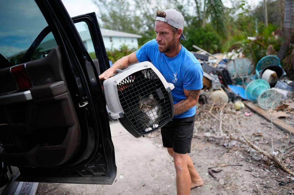 Ted Carlson pone al gato de su mejor amigo Evan Purcell, McKenzie, en una camioneta mientras am ...