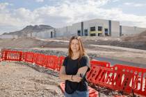 Lisa Cole, vice president of Land Development Associates LLC, stands near a building of Dermody ...