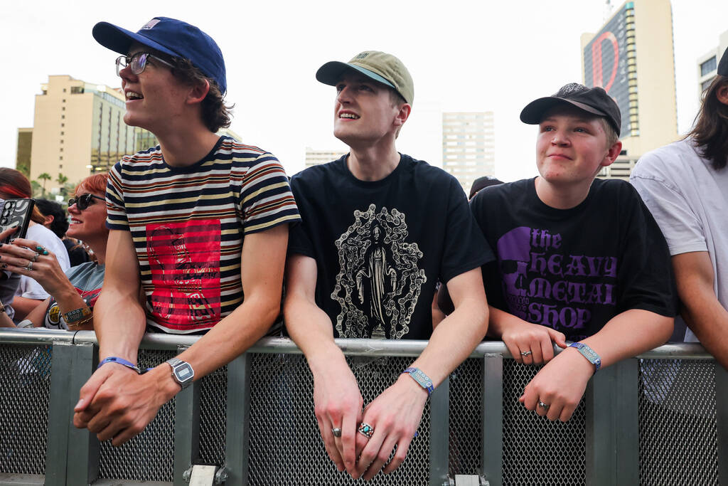 Festival attendees take in a Pinback set during the Best Friends Forever Festival at the Downto ...