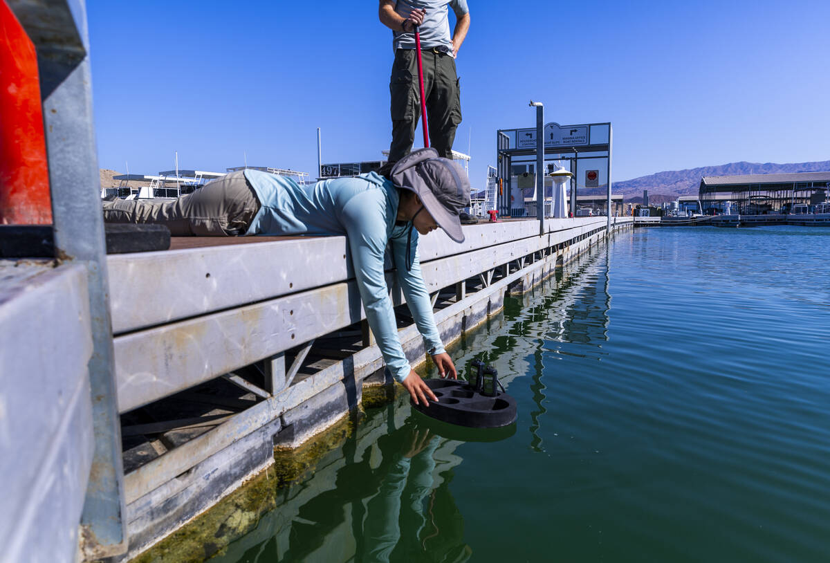 Technician Ariel Santero with the American Conservation Experience tests the water for blue-gre ...