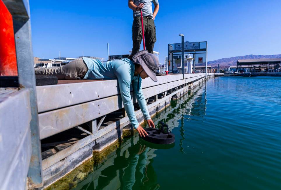 Technician Ariel Santero with the American Conservation Experience tests the water for blue-gre ...