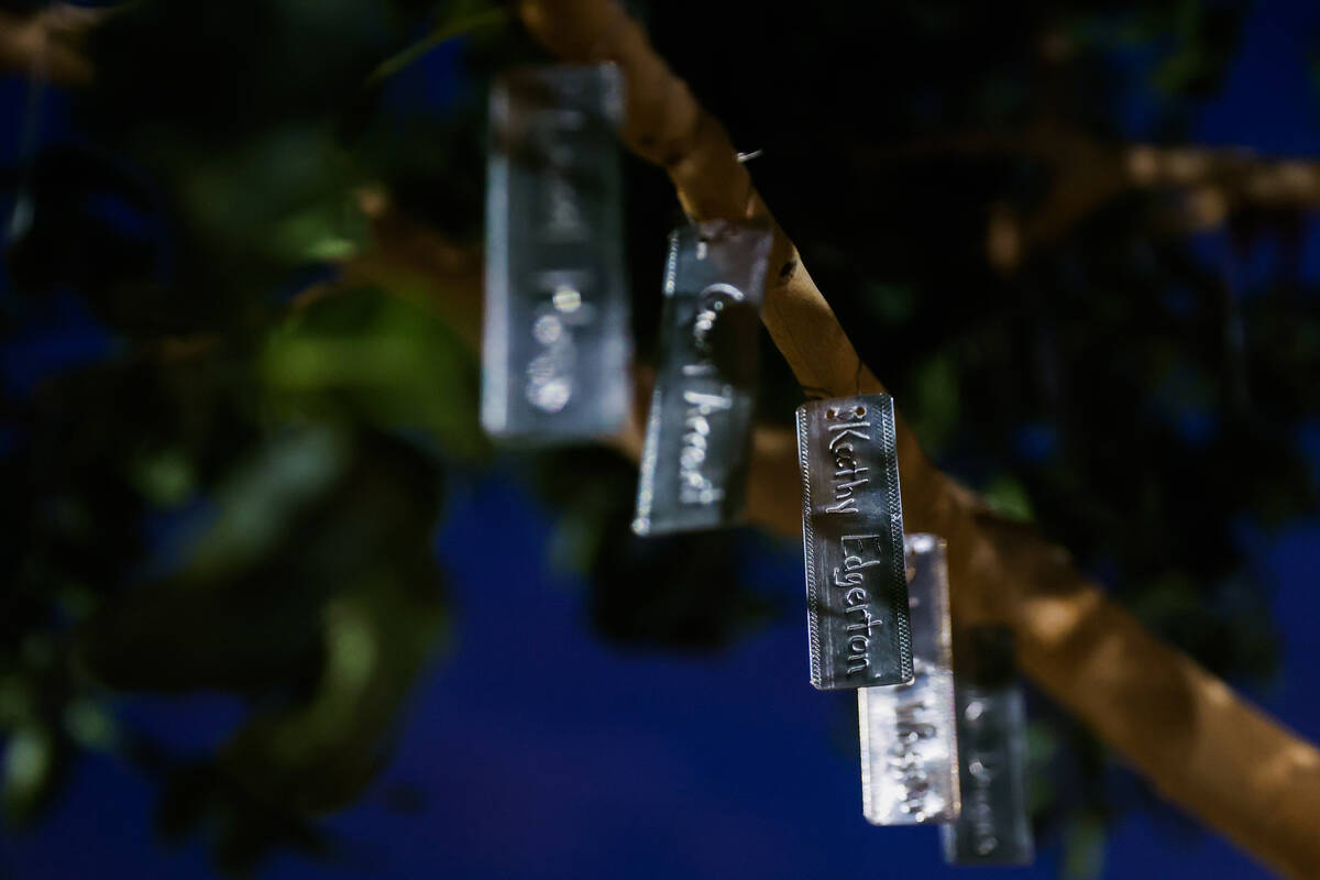 Names of domestic violence victims are seen on a tree during a tree dedication ceremony in hono ...