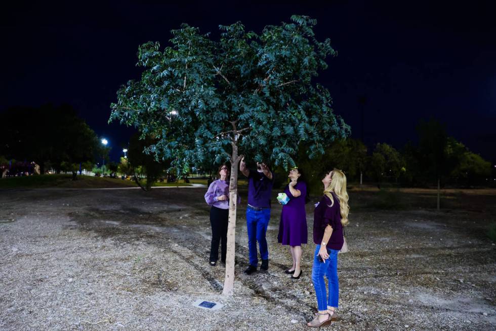 A new tree dedicated to victims of domestic violence is seen during a tree dedication ceremony ...