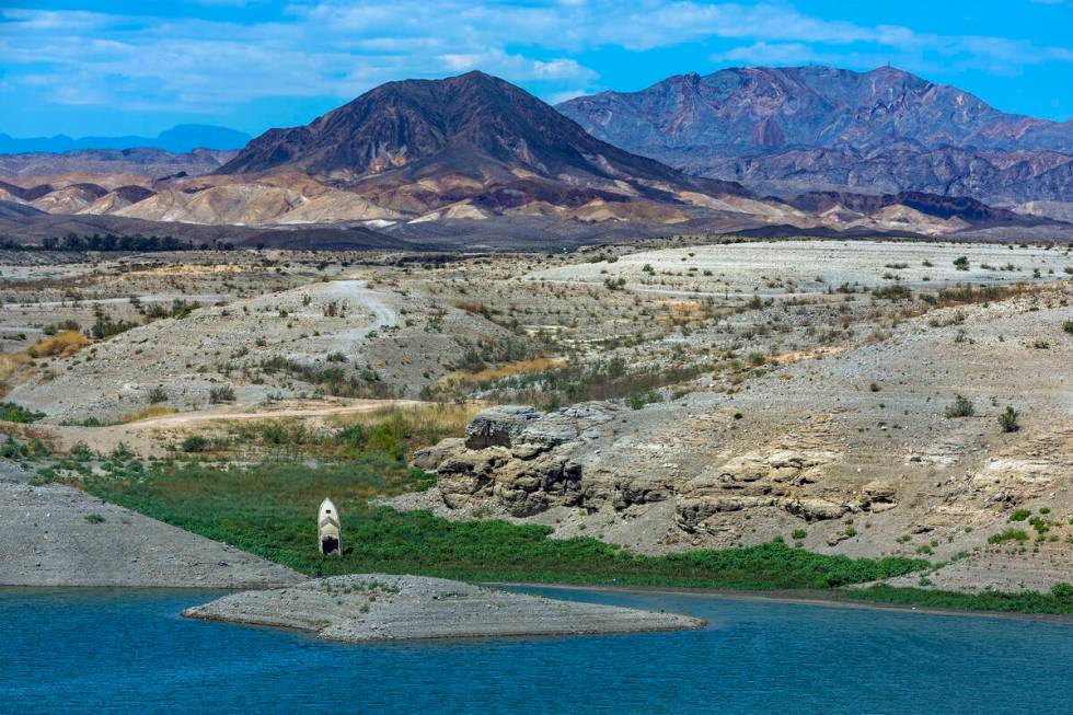 A boat sticking up along the shoreline in Government Wash is now surrounded by plants at the La ...