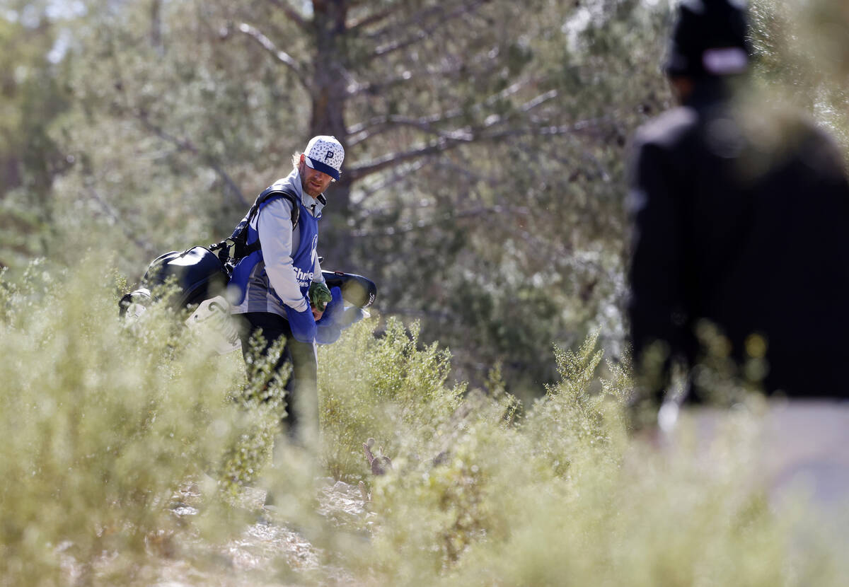 Tom Whitney's caddy looks for the ball after heavy wind diverted the ball off the course during ...