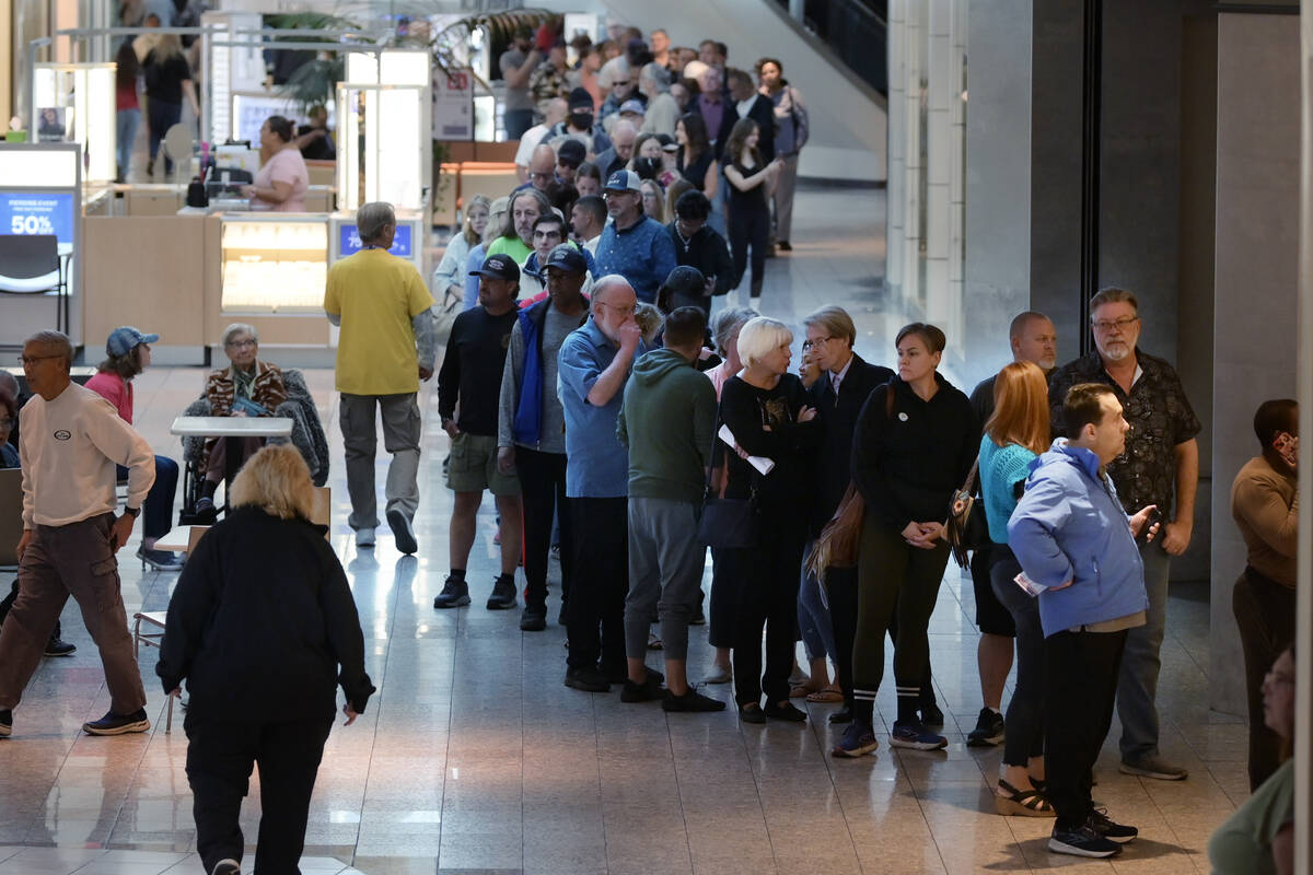 Hundreds of voters line up at the Galleria Mall to take part in early voting Saturday, October ...