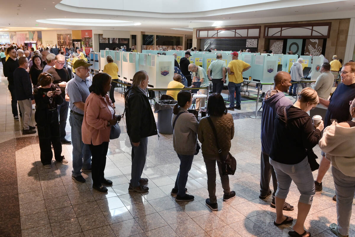 Hundreds of voters line up at the Galleria Mall to take part in early voting Saturday, October ...