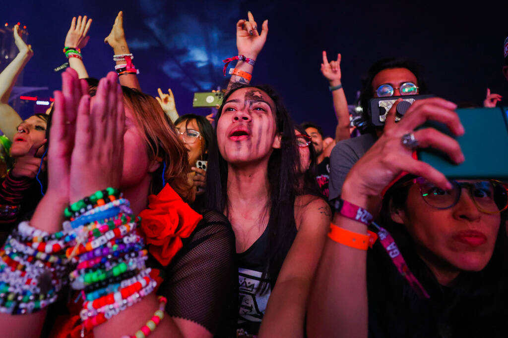 Festival attendees sing along to Jimmy Eats World during the When We Were Young music festival ...