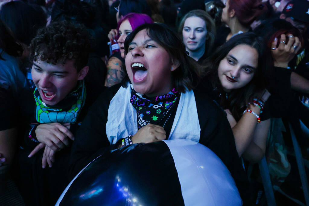 Festival attendees jam out to A Day To Remember during the When We Were Young music festival at ...