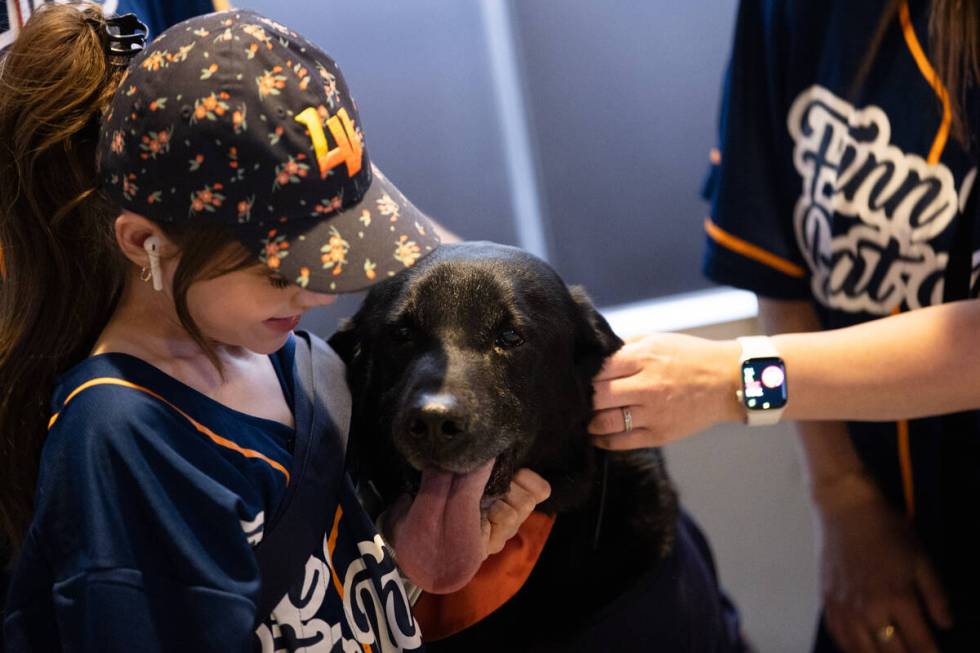 Finn the Bat Dog gets affection from fans on the night of his retirement as the Las Vegas Aviat ...