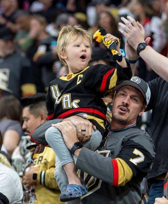 Fans celebrate a goal during the third period of the NHL hockey game against the Ottawa Senator ...