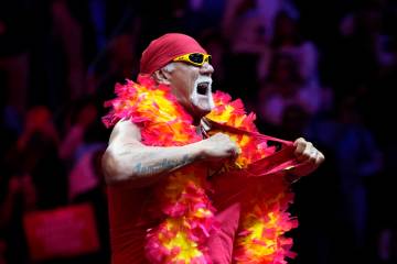 Hulk Hogan rips his shirt at a campaign rally for Republican presidential nominee former Presid ...