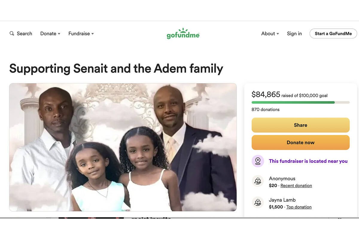 A GoFundMe page in support of the Adem family is seen in a screenshot. (GoFundMe)