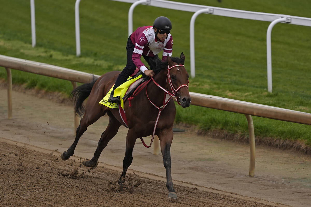 Kentucky Derby hopeful Forever Young works out at Churchill Downs Tuesday, April 30, 2024, in L ...