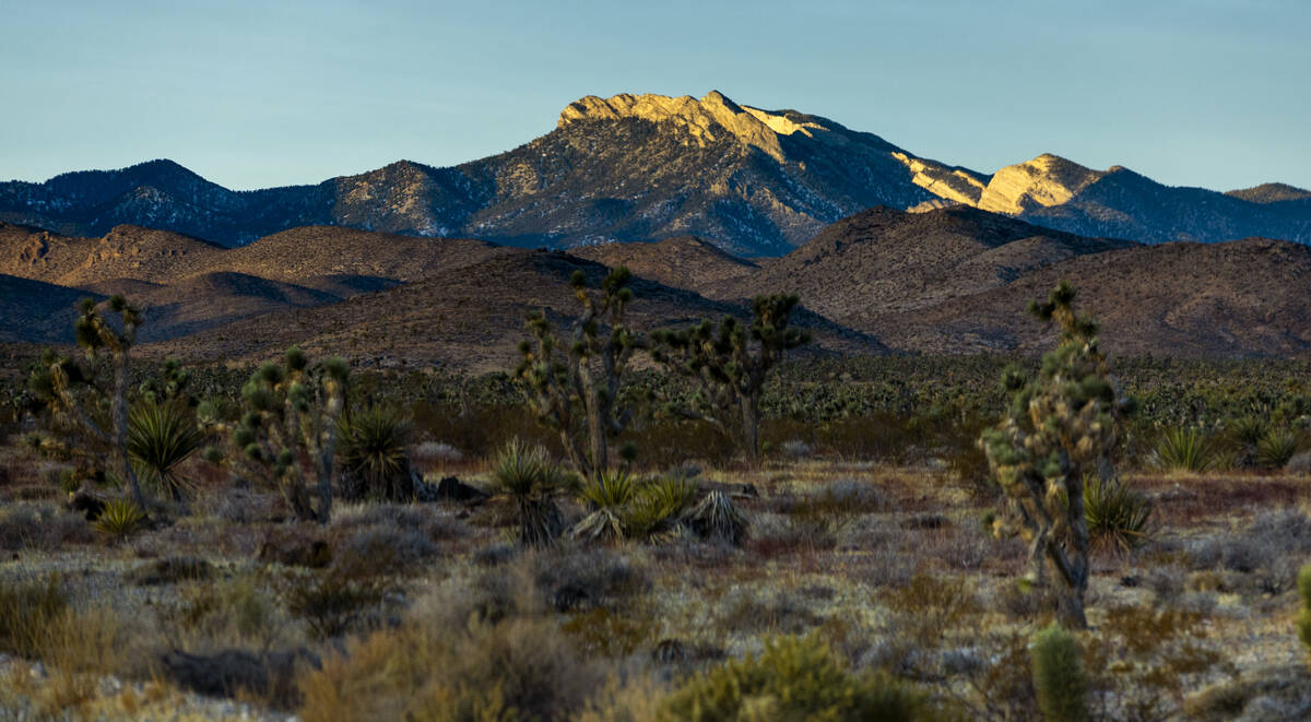 The sun illuminates the Mount Charleston peak as snow is beginning to be made at the Lee Canyon ...