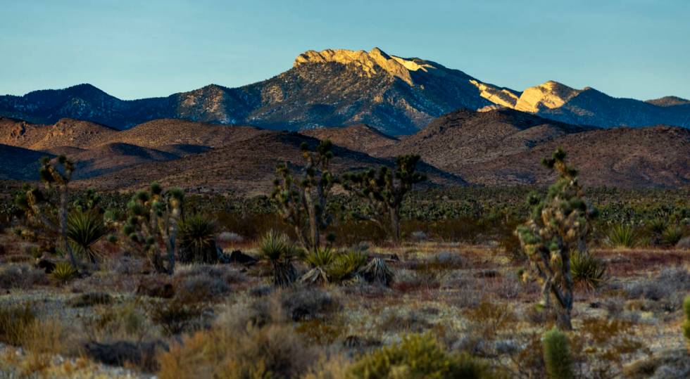 The sun illuminates the Mount Charleston peak as snow is beginning to be made at the Lee Canyon ...