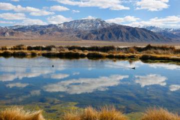 The pond near the Rhyolite Ridge lithium-boron mine project site is seen on Feb. 22, 2024, in E ...