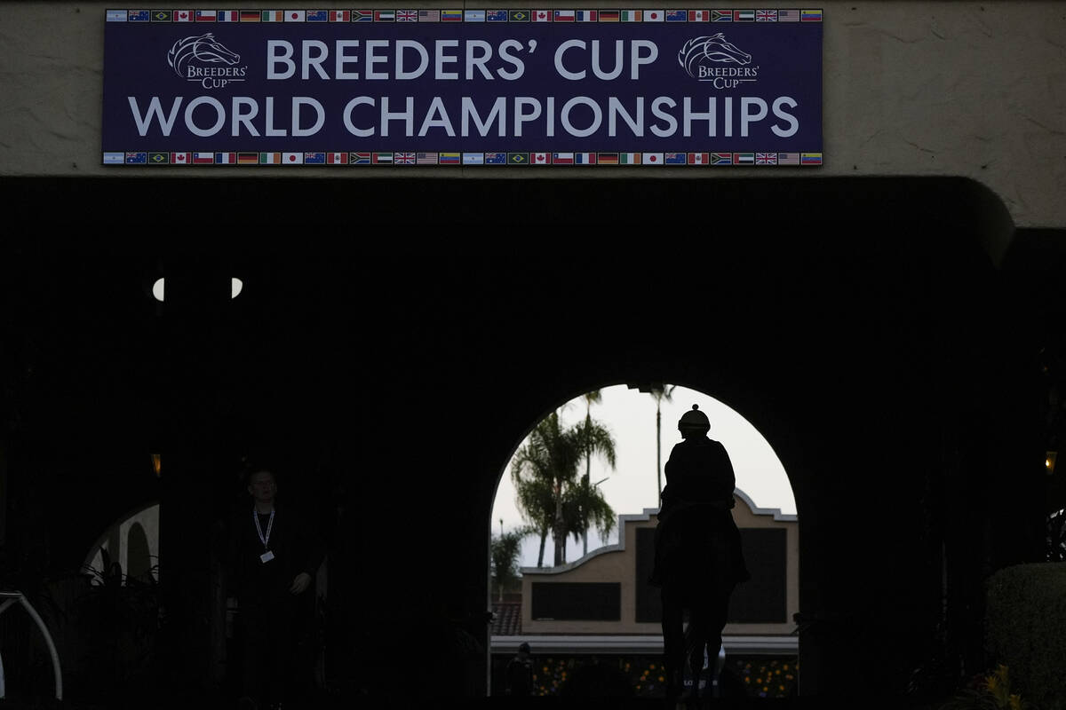 A jockey and horse head towards the paddocks ahead of the Breeders' Cup horse racing world cham ...