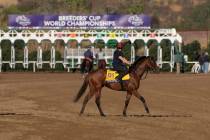 Jockey Rachel Richardson rides City of Troy ahead of the Breeders' Cup horse racing world champ ...