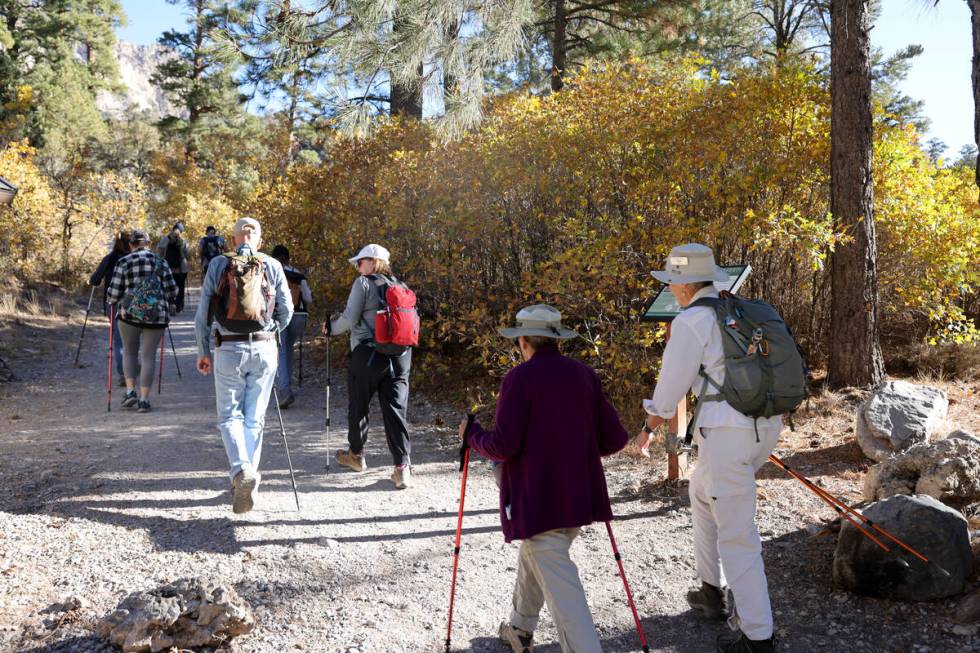 Members of the Westside Newcomers social club embark on a hike in Fletcher Canyon on Mount Char ...