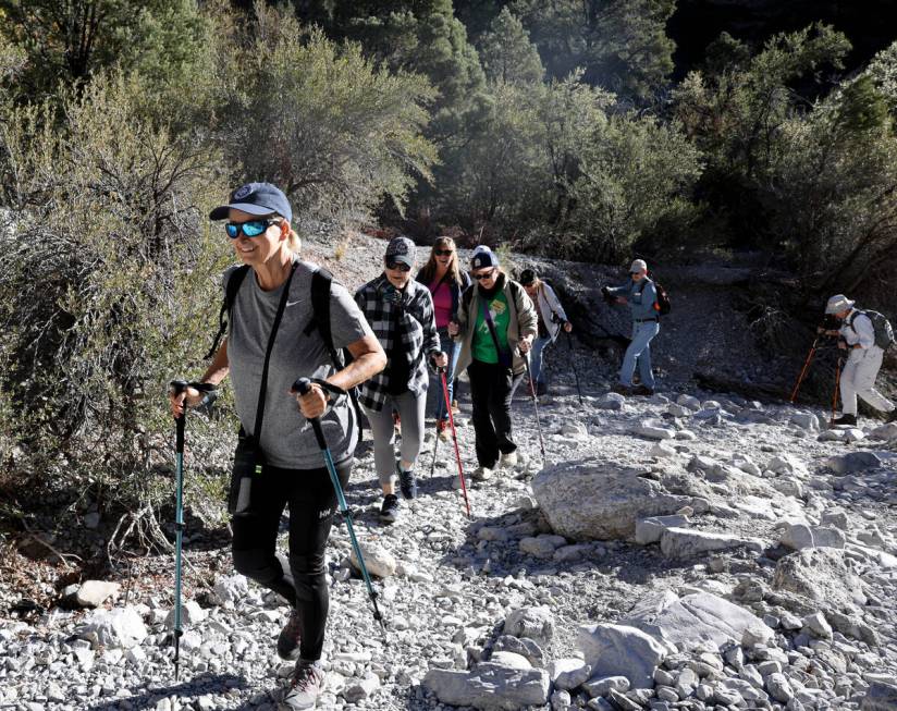 Members of the Westside Newcomers social club, including Vicki Creciun, left, hike in Fletcher ...