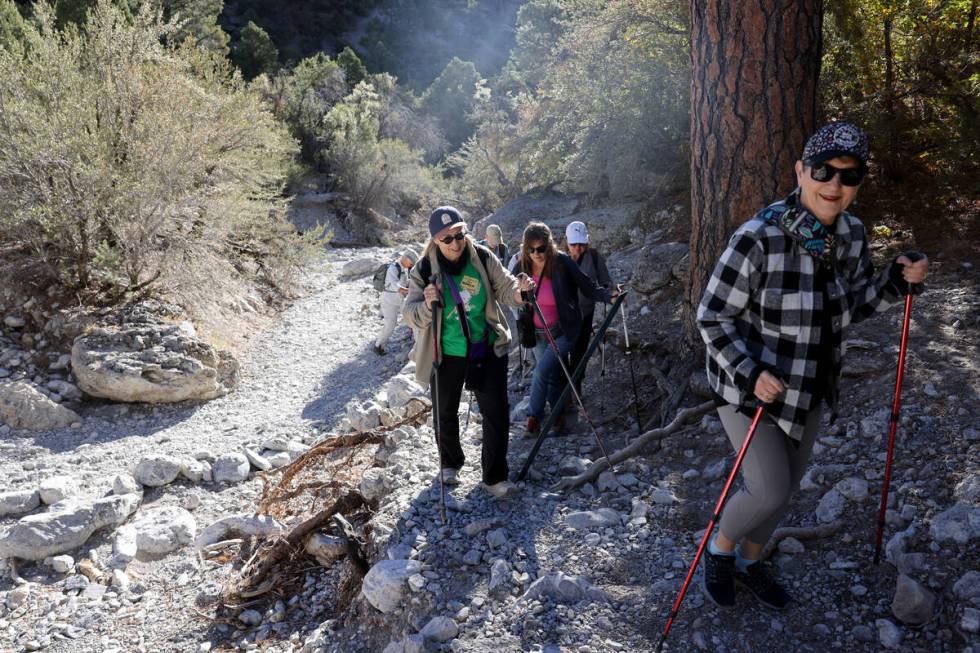 Members of the Westside Newcomers social club, including Linda Egge, right, hike in Fletcher Ca ...