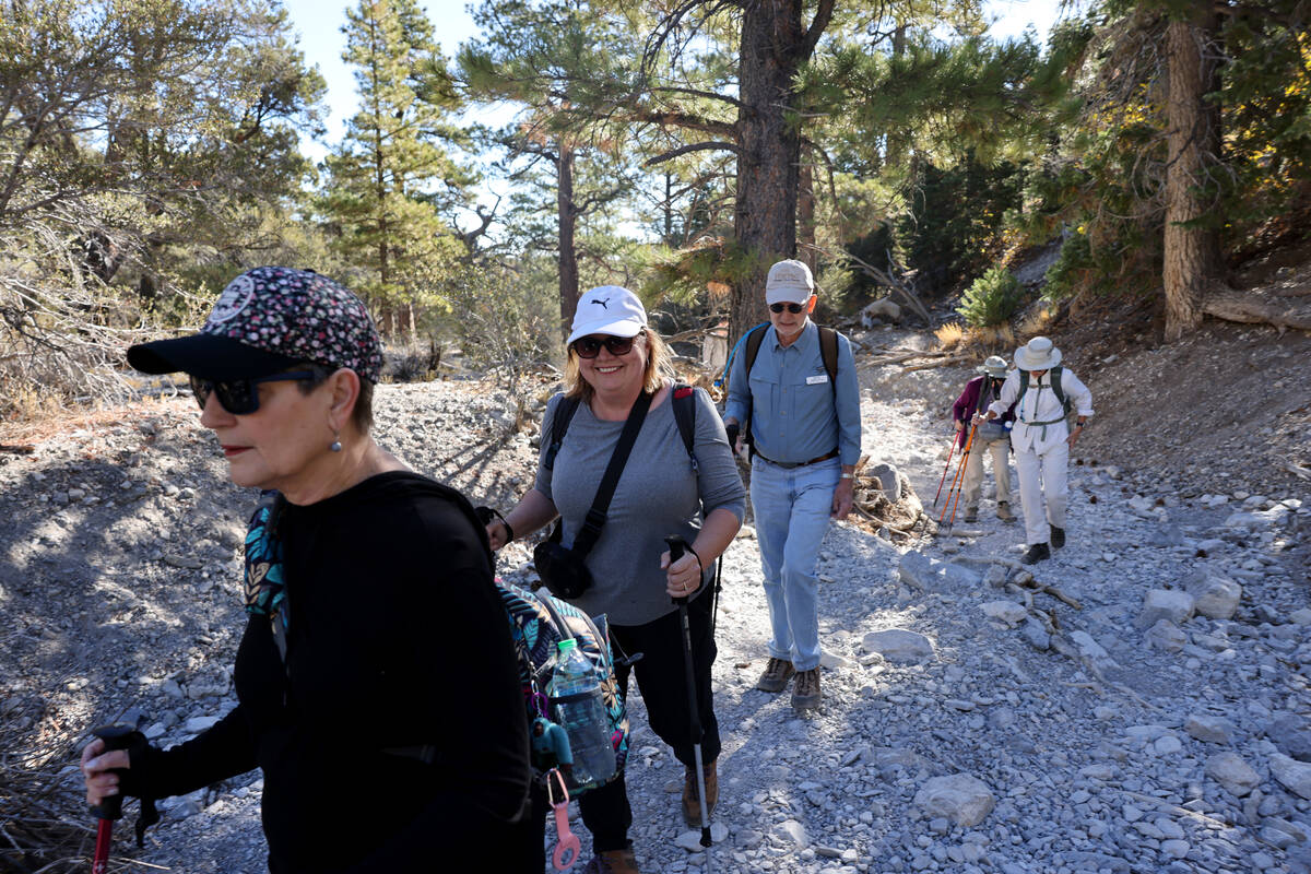 Members of the Westside Newcomers social club, including from left, Linda Egge, Deborah Mufti a ...