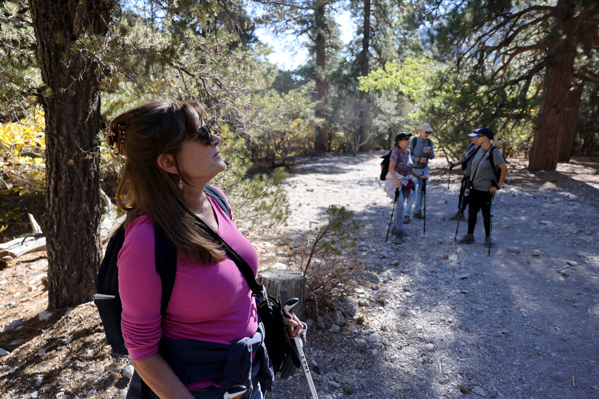 Members of the Westside Newcomers social club, including Robin Schrag, left, take in the mounta ...