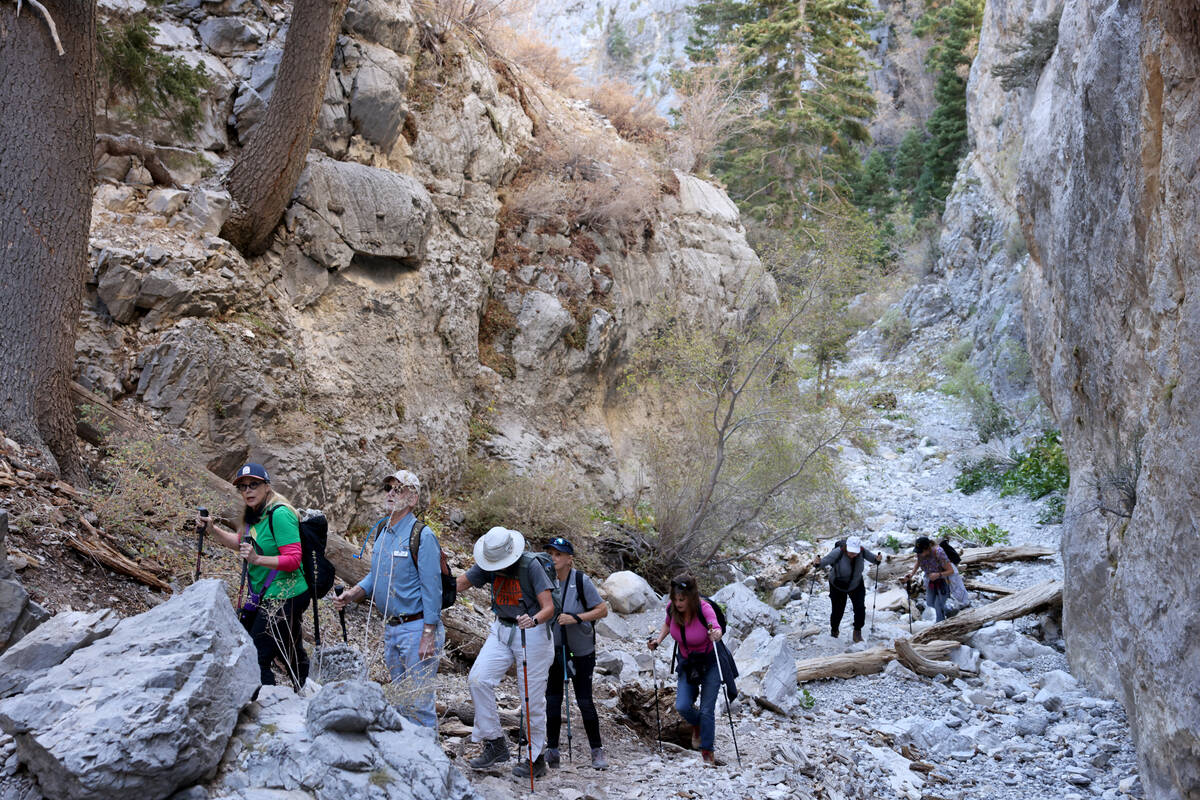 Members of the Westside Newcomers social club take hike in Fletcher Canyon on Mount Charleston ...