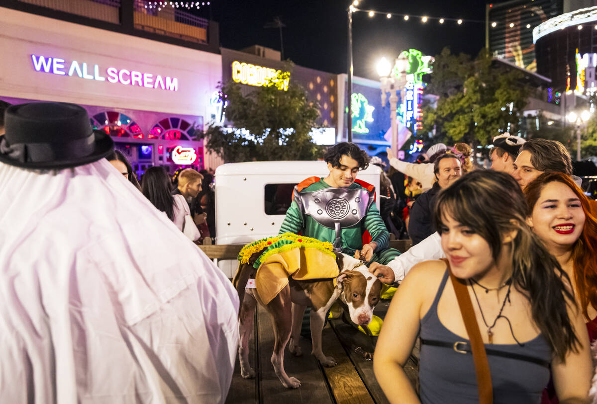 People pet a dog dressed as a taco on Fremont Street during Halloween night on Thursday, Oct. 3 ...