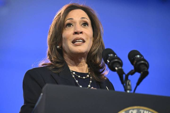 US Vice President and Democratic presidential candidate Kamala Harris speaks during a campaign ...