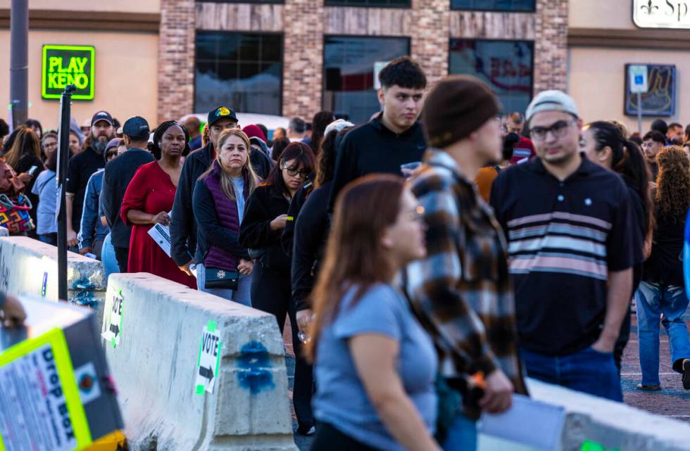 Voters stand in a long, back and forth line to cast their ballots in a polling spot at the Nell ...