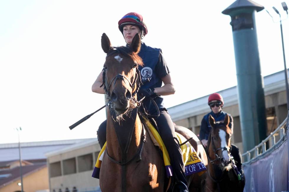 Jockey Rachel Richardson rides City of Troy ahead of the Breeders' Cup horse racing world champ ...