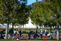 Volunteers place around 14,000 small American flags at veterans grave markers in the Southern N ...