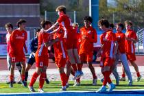 Coronado teammates celebrate a goal by striker Gavin Flickinger (11) against Wooster on a penal ...