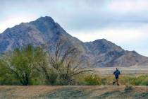 A man takes a morning jog on the path at the Clark County Wetlands Park on World Wetlands Day o ...