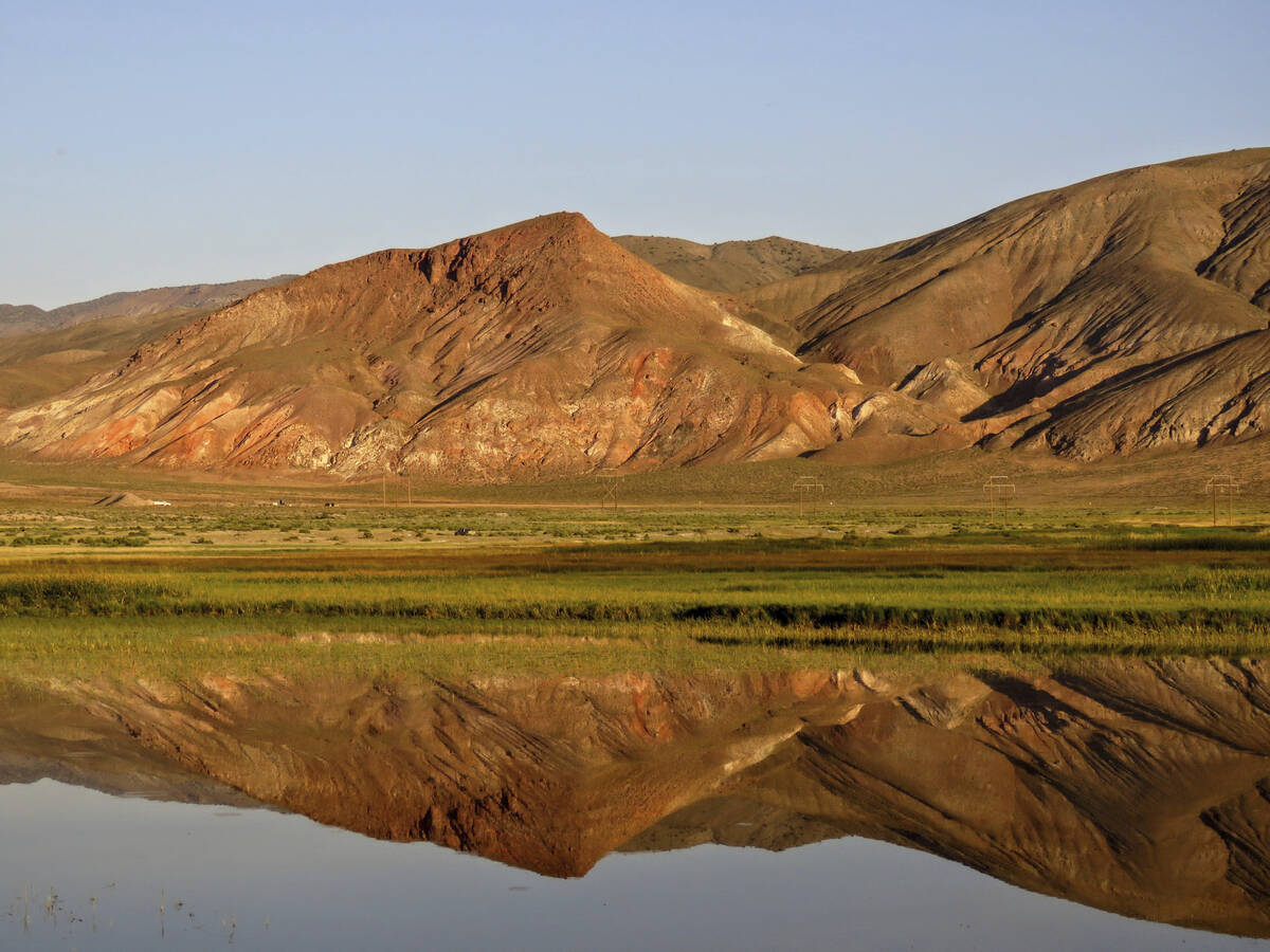 Patrick Donnelly/Center for Biological Diversity via AP