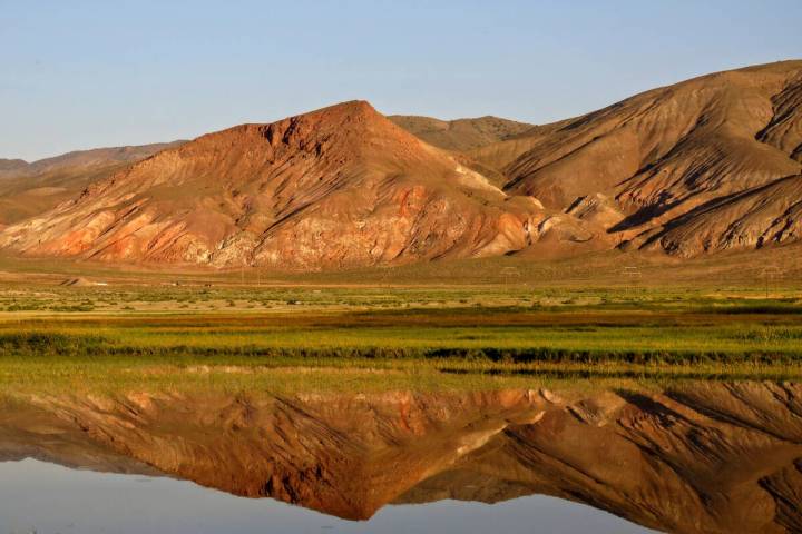 Patrick Donnelly/Center for Biological Diversity via AP