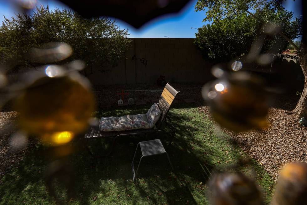 The lawn chair in which Judy Reiber was sunbathing when she died from environmental heat stress ...