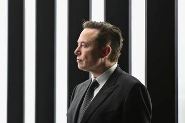 Elon Musk. Patrick Pleul/Pool via AP