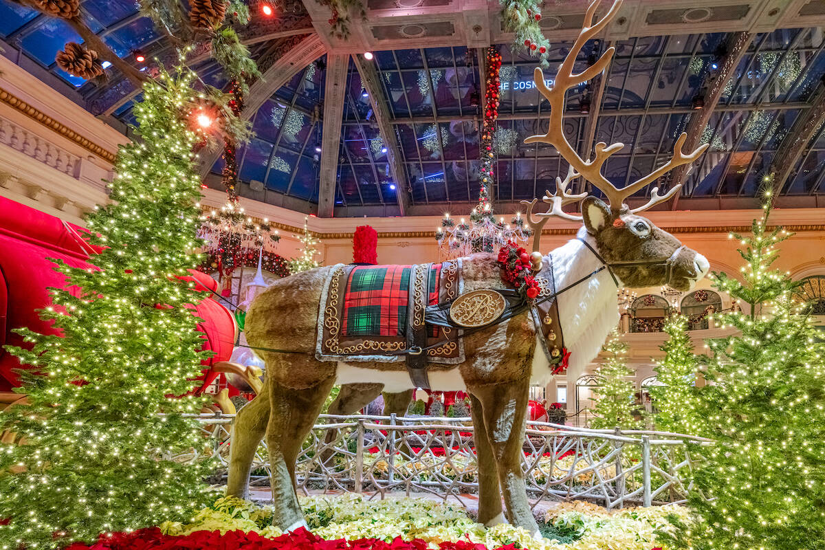 Celebrating the magic of the season, the Bellagio's Conservatory & Botanical Gardens is unveili ...