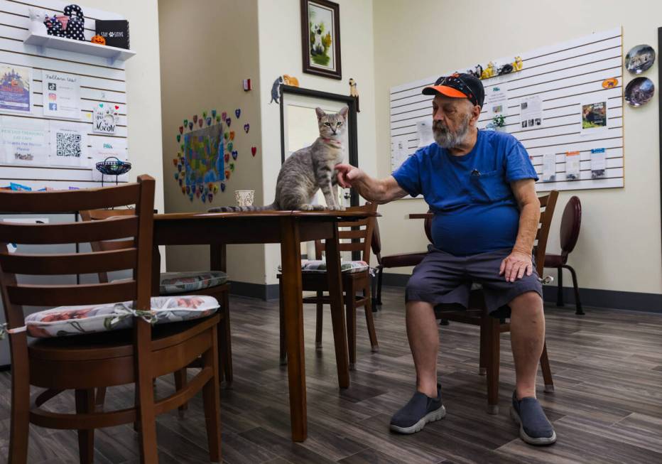 Tim Raridan pets Dinah at the Rescued Treasures Cat Cafe in Las Vegas, Thursday, Oct. 24, 2024. ...