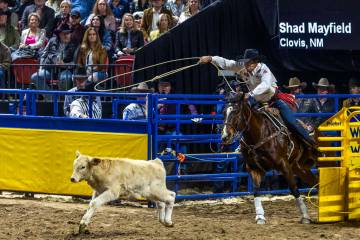 Shad Mayfield eyes his calf in Tie-Down Roping during day 6 action of the NFR at the Thomas &am ...