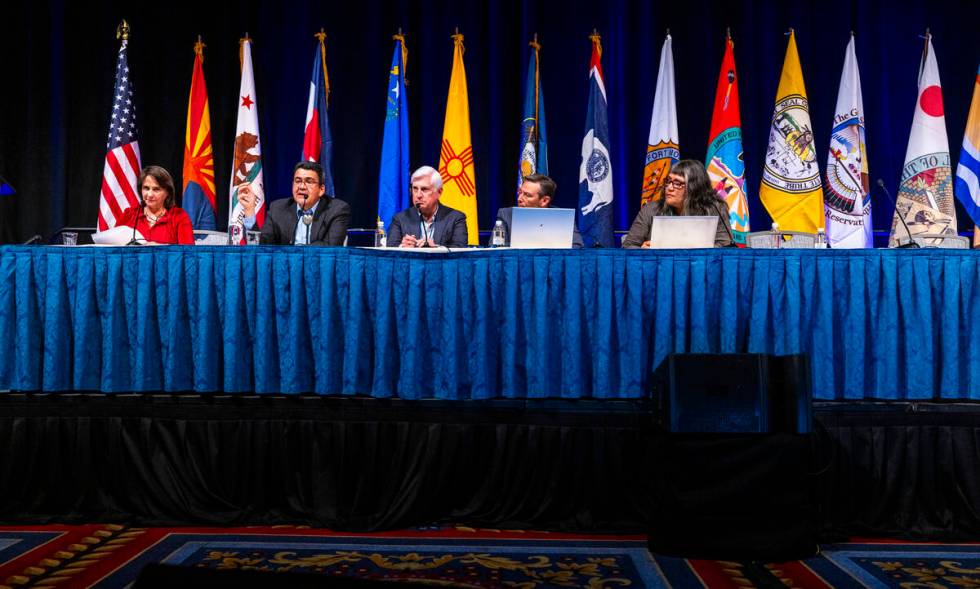 A panelist speaks during a session entitled "Keeping the Peace Among the Pieces: The Risks of L ...