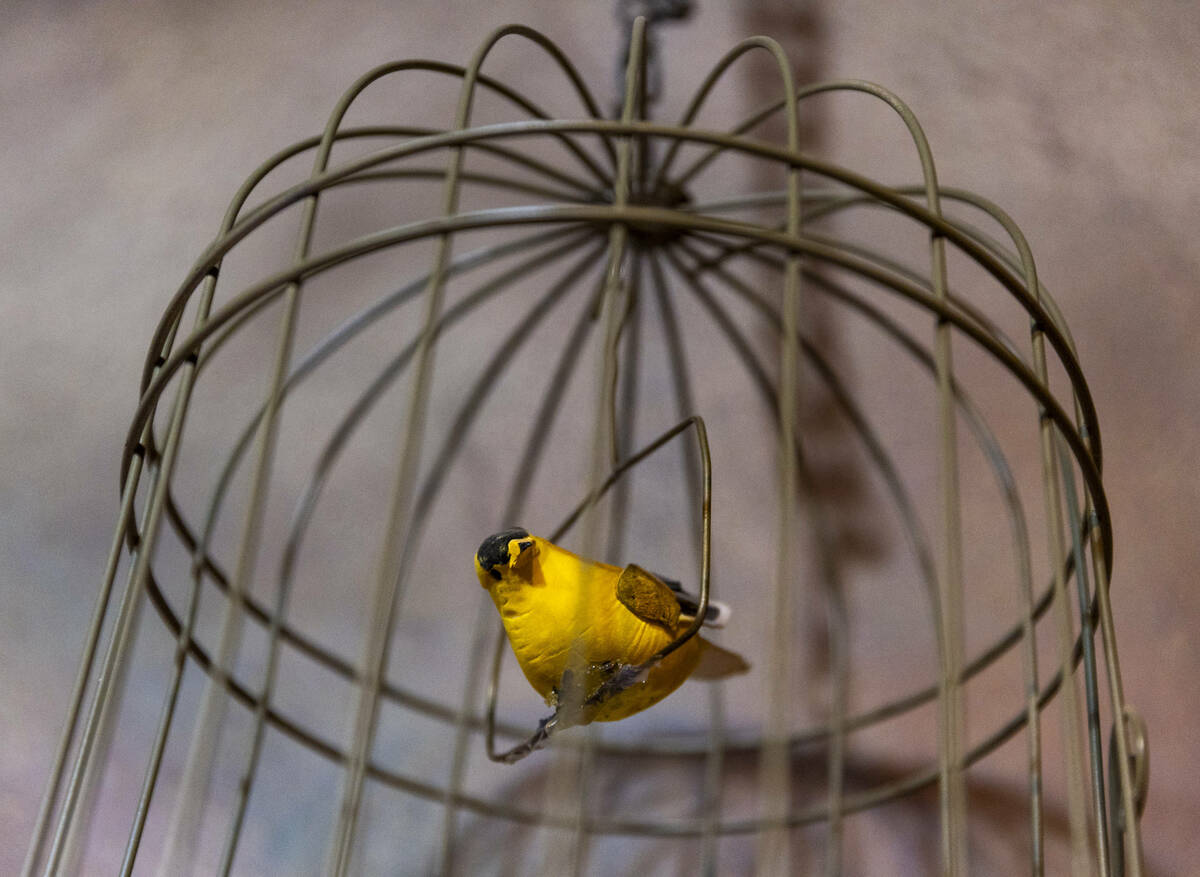 A canary in a cage within The Mine Experience on the McCaw STEAM Academy campus on Saturday, De ...