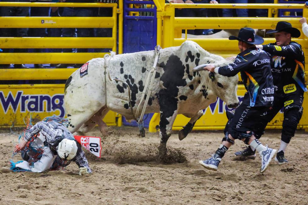 Bull rider Jeter Lawrence falls off of Desert Twister during round three of the National Finals ...